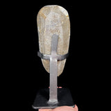 Back Side of Specimen
