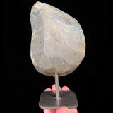 Back of specimen