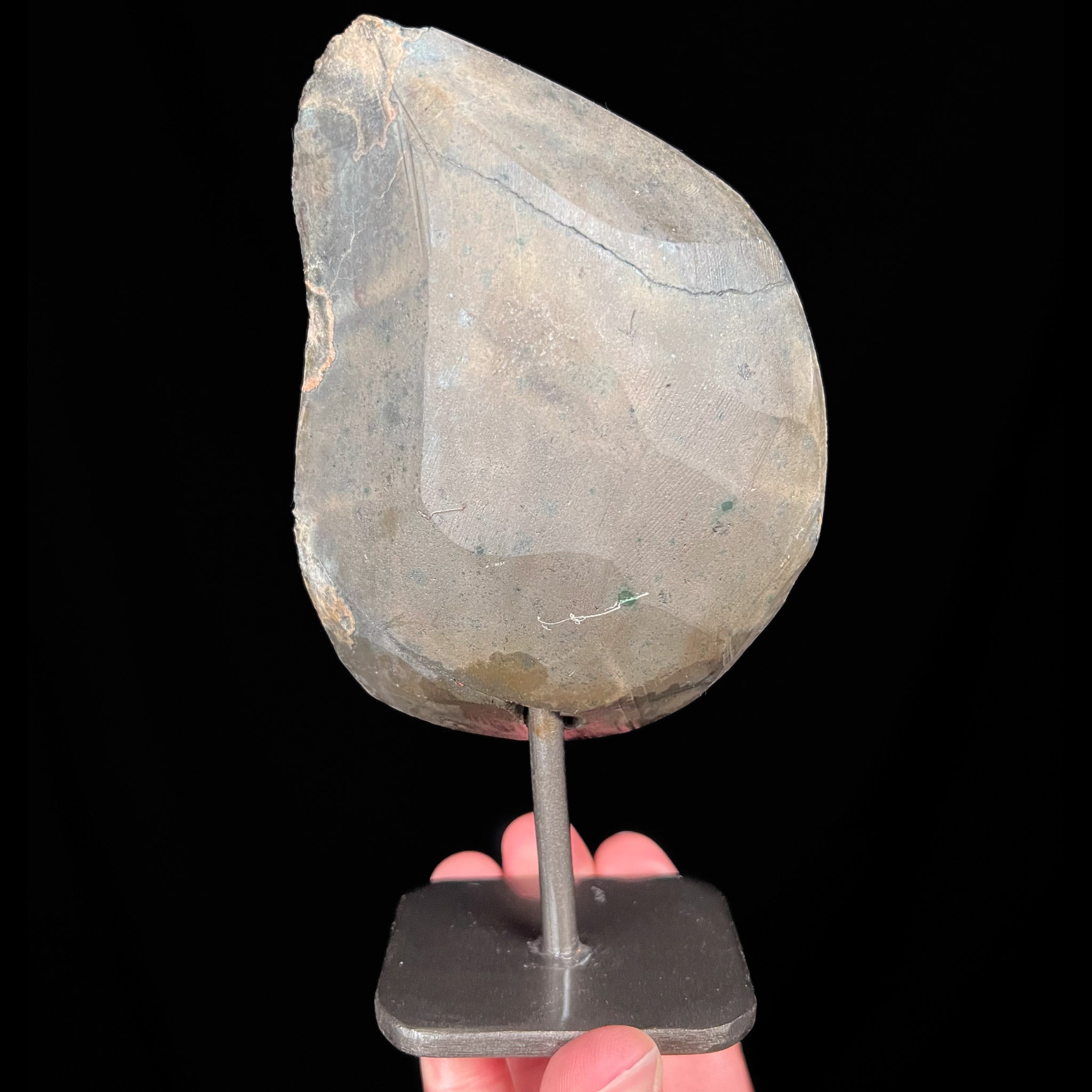 Back of specimen