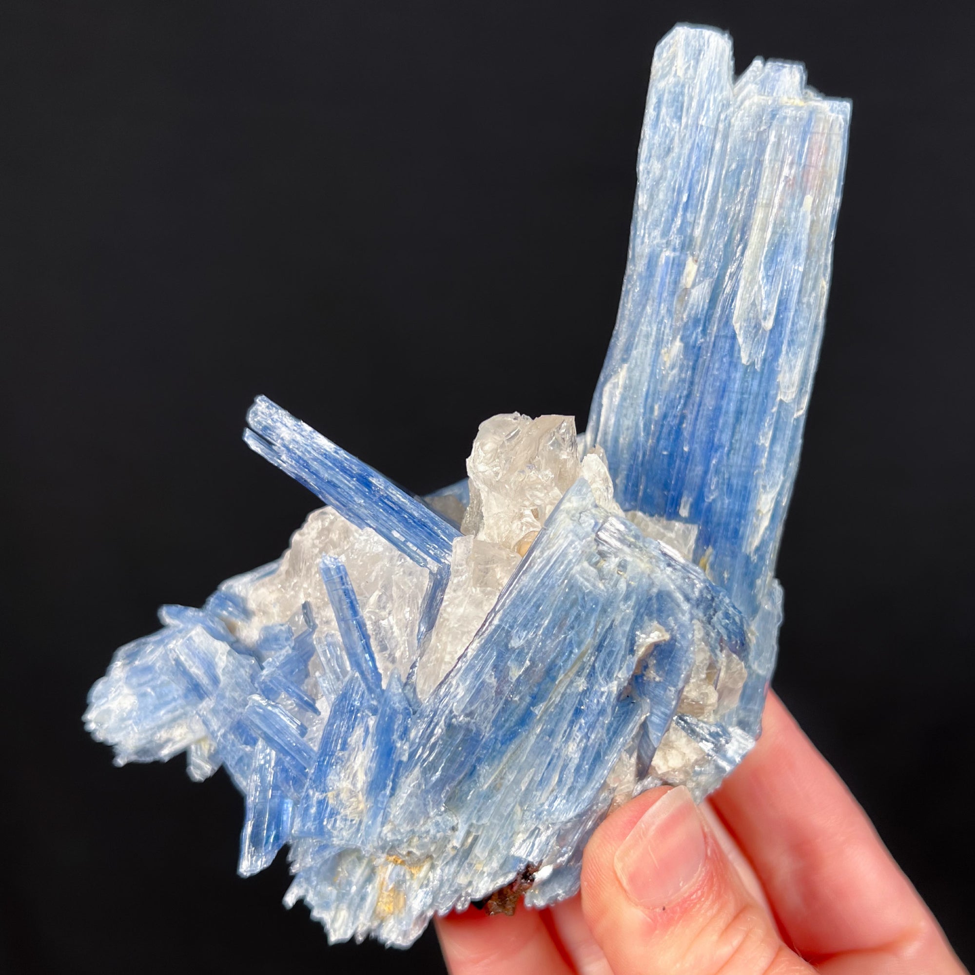Large Blue Kyanite Crystals with Quartz