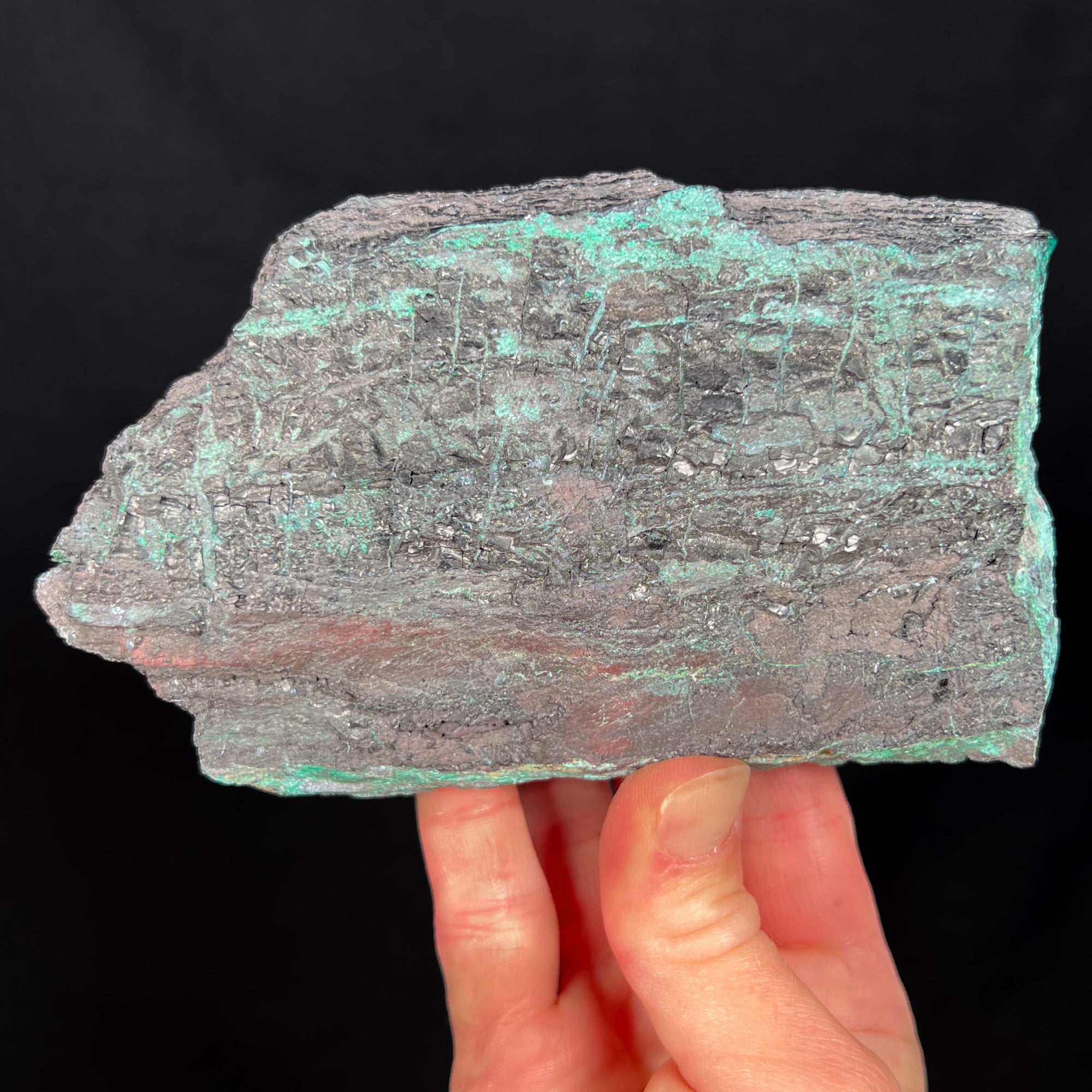 Chalcocite and Malachite Replaced Petrified Wood