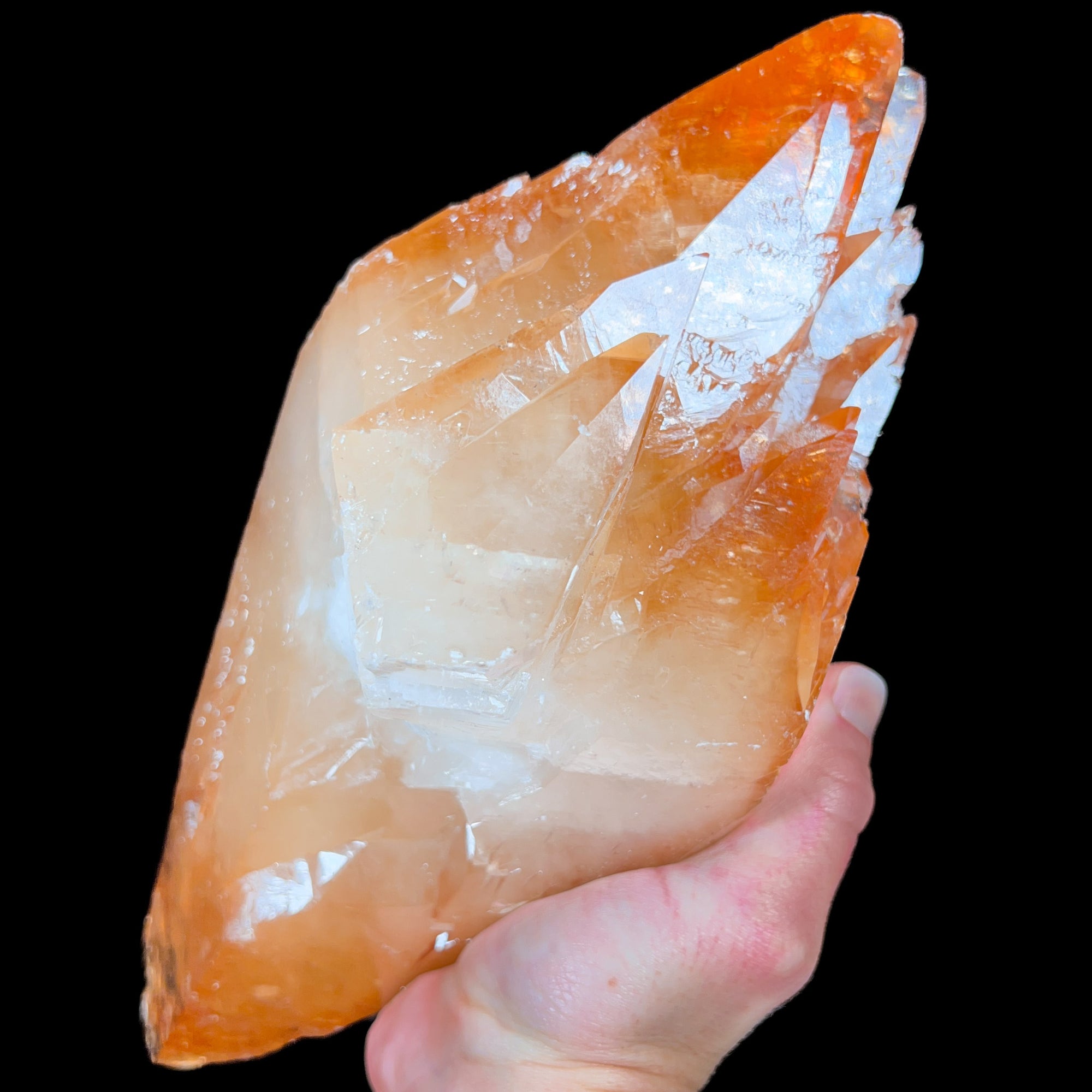 Extra Large Stellar Beam Calcite Crystal