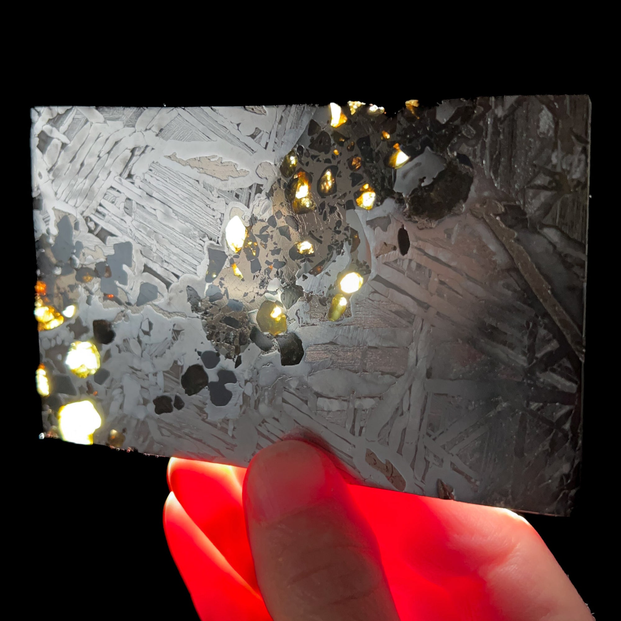 Large Seymchan Pallasite Meteorite Slice with Olivine Inclusions