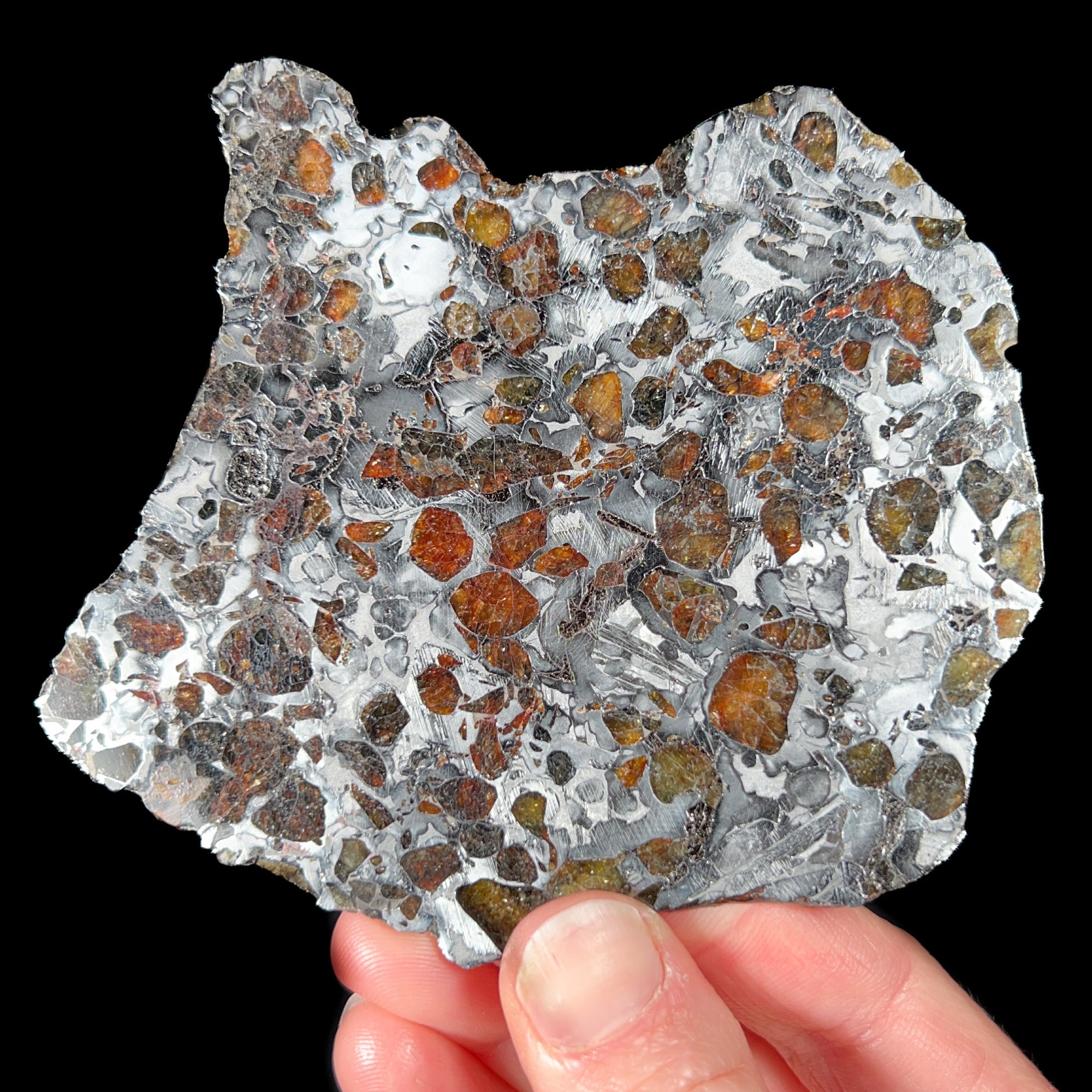 Backlit Pallasite Meteorite Displaying gem Olivine Crystals