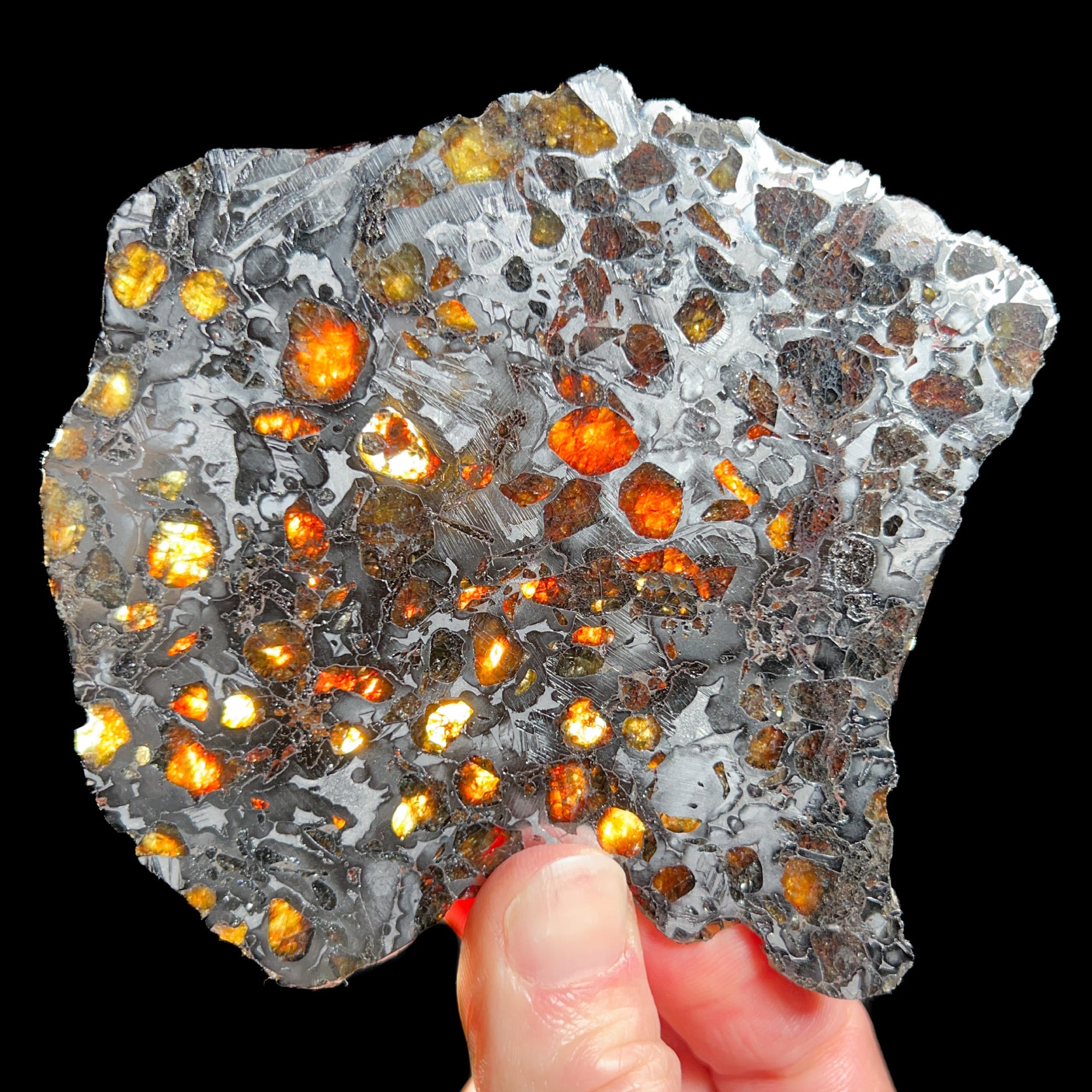 Backlit Pallasite Meteorite Displaying gem Olivine Crystals