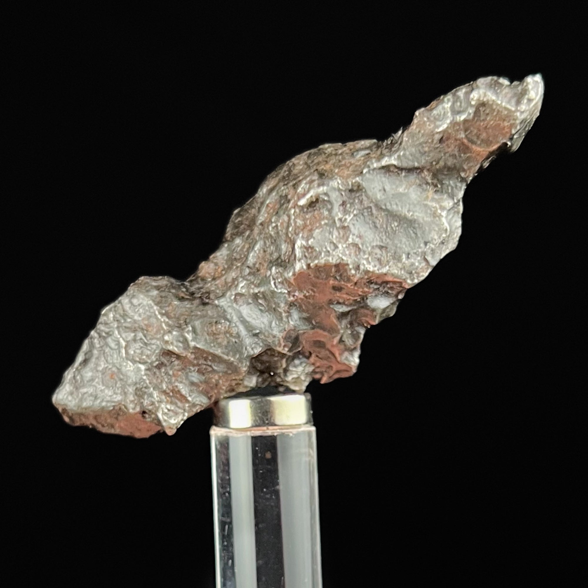 Sikhote Alin Meteorite Specimen
