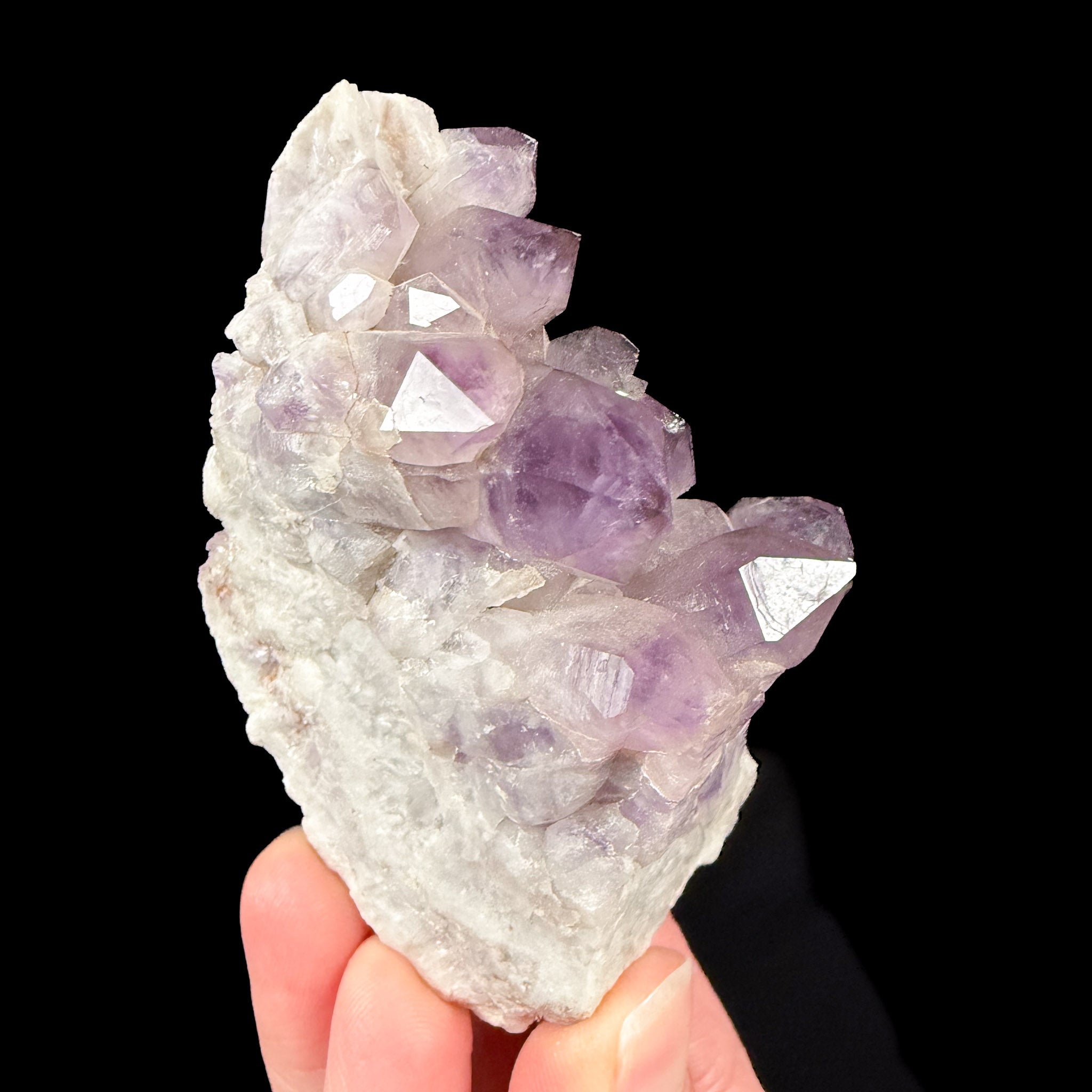 Side view of Amethyst crystals from California