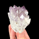 Amethyst crystals from Kingston Range, California, USA
