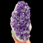 Amethyst Geode with cut base from Uruguay