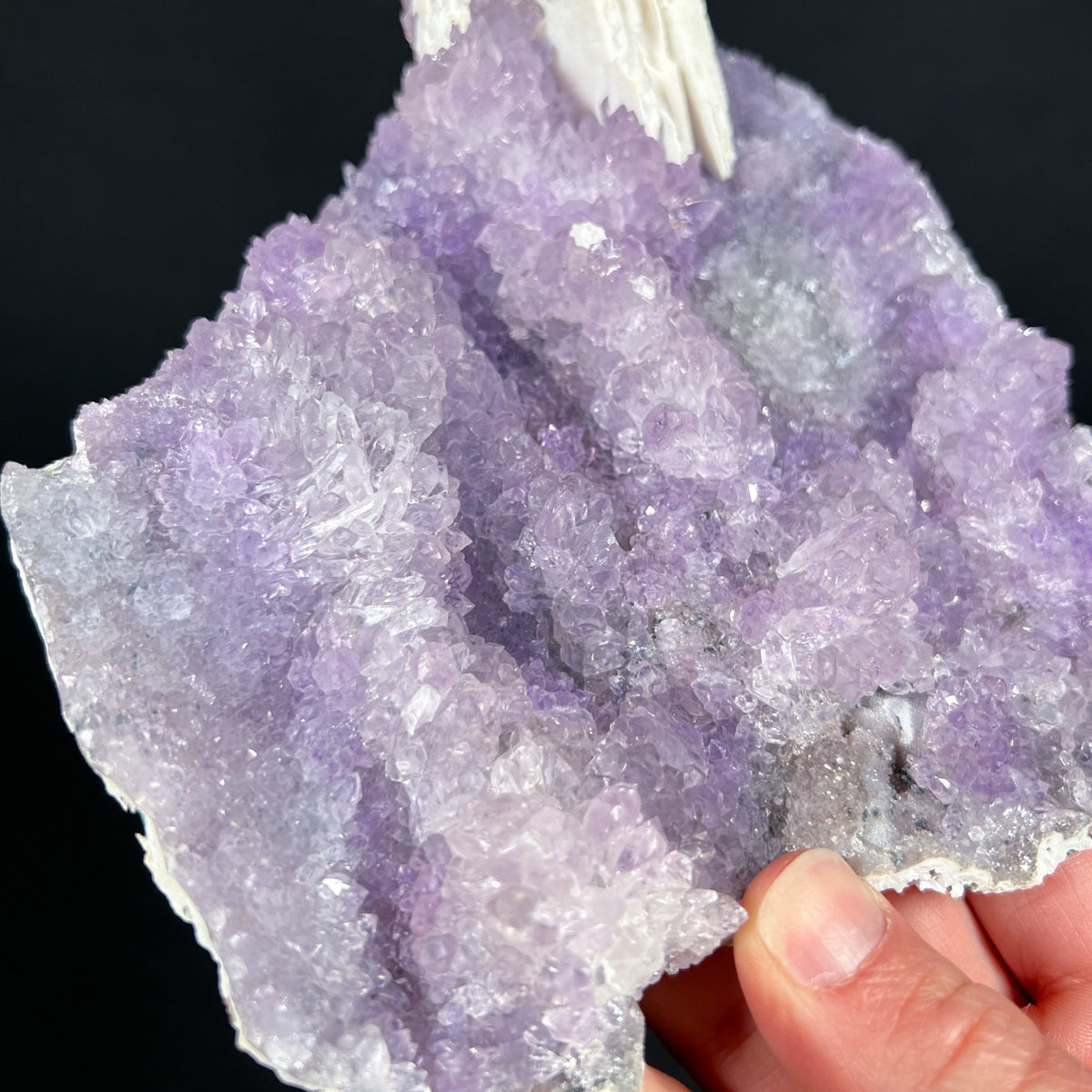 Plate of Purple Amethyst Crystals Clustered Together