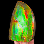 Double Sided Ammolite Fossil