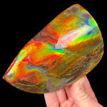 Double Sided Ammolite Ammonite Specimen