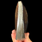 Side View / Base View