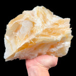 Large golden yellow angelwing Calcite specimen from Mexico