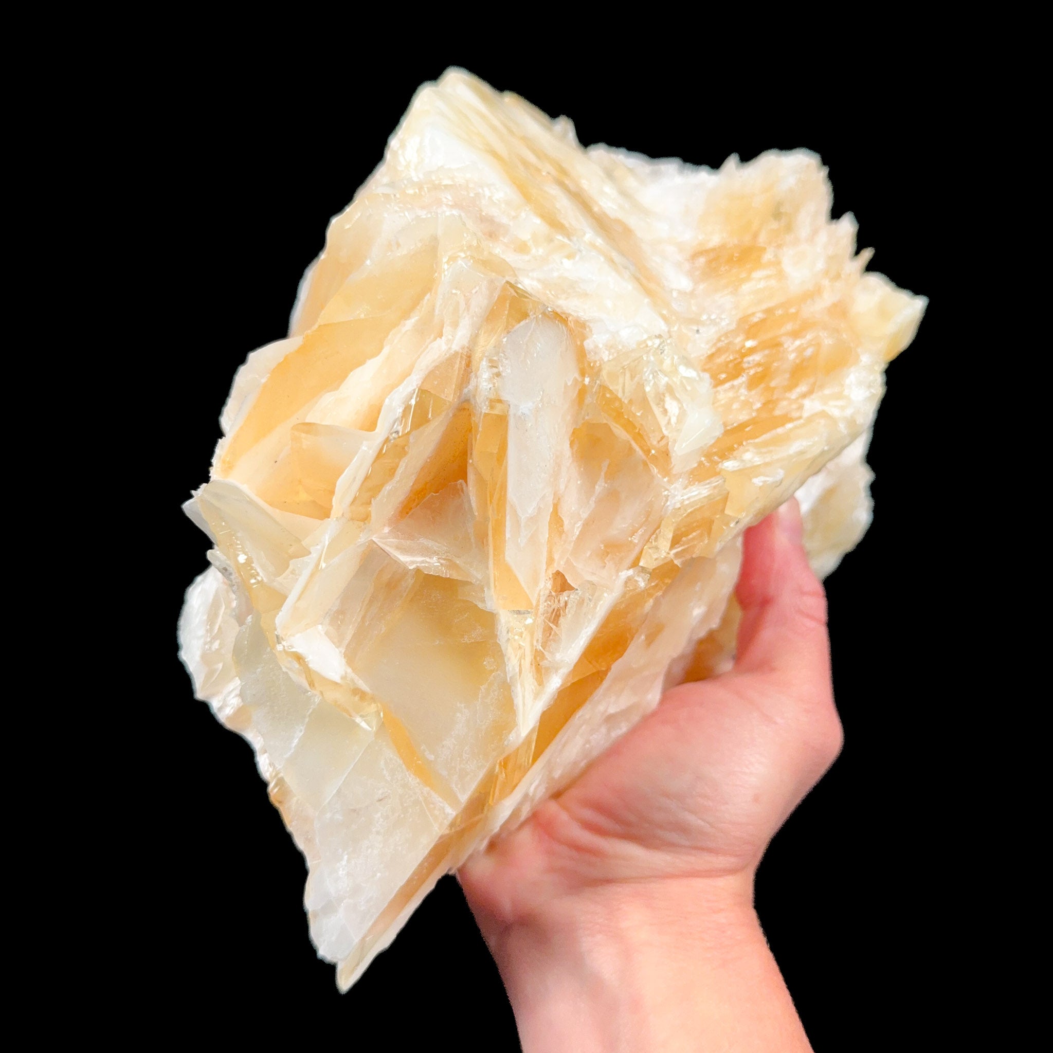 Angel wing Calcite crystals