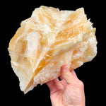 Angel wing Calcite - Yellow Calcite from Mexico