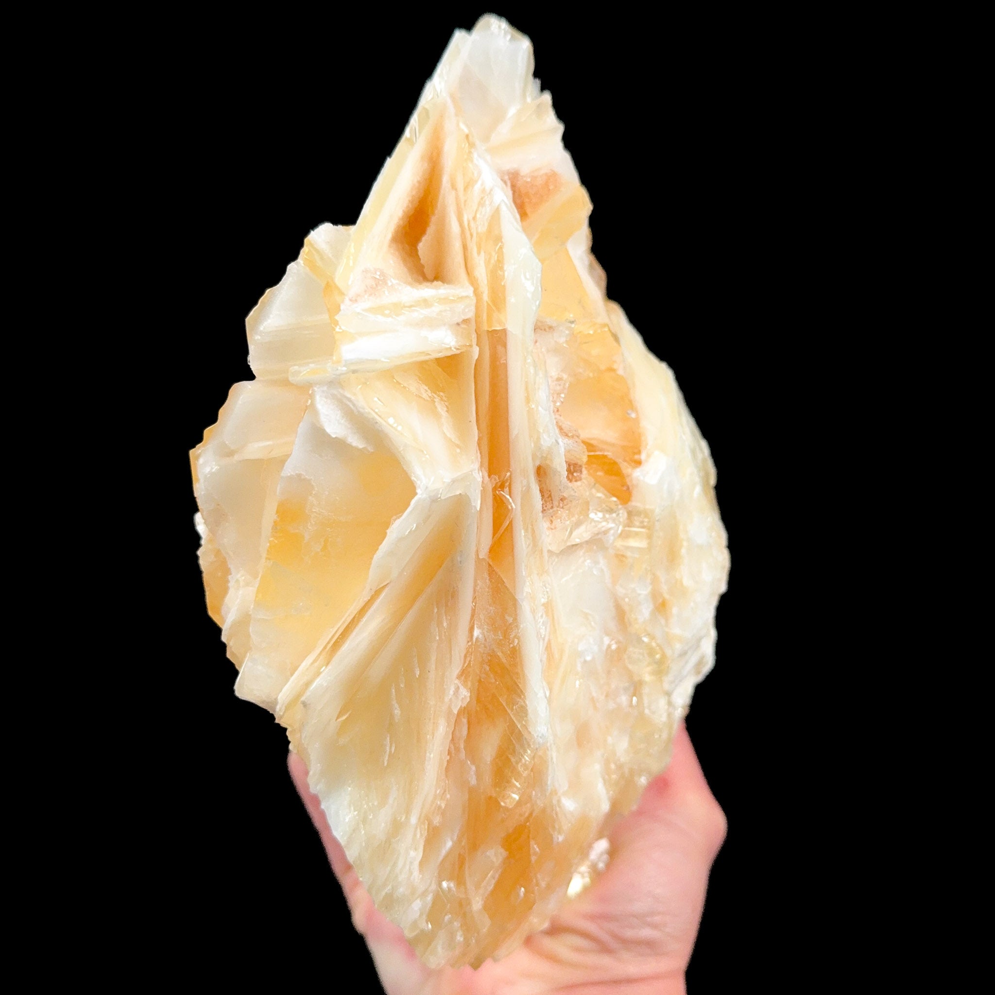 Golden yellow calcite crystals from Mexico
