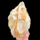 Golden yellow calcite Mexico