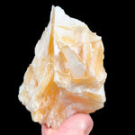 Angel wing yellow Calcite from Mexico