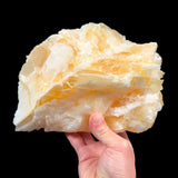 Large Golden Yellow Angel Wing Calcite specimen from Mexico