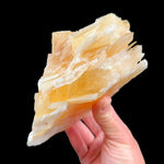 Golden yellow calcite specimen - Mexico