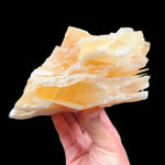 Golden yellow angel wing Calcite from Mexico