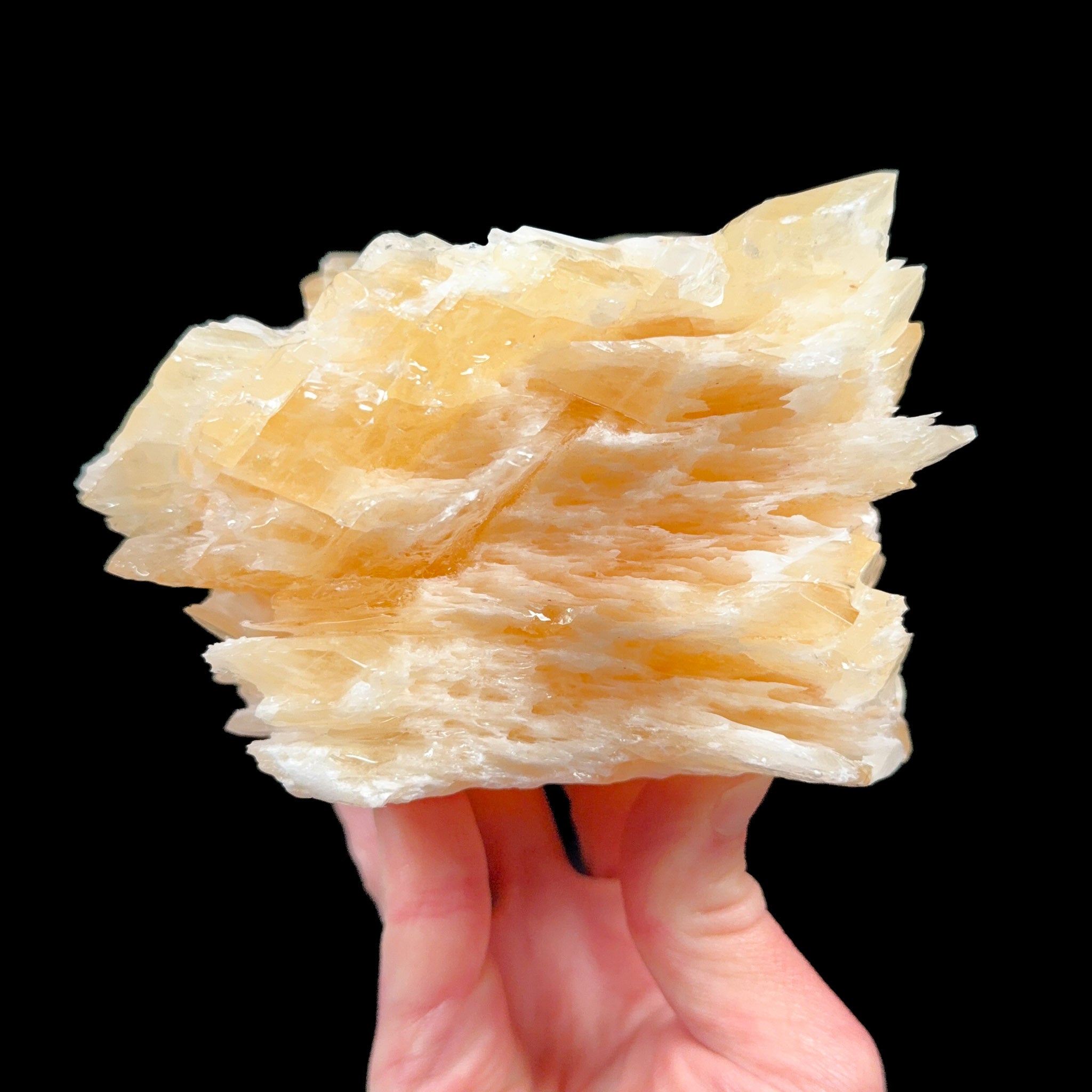 Side view of angel wing calcite crystals