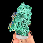 Azurite with Malachite crystal specimen, Libson Valley, Utah