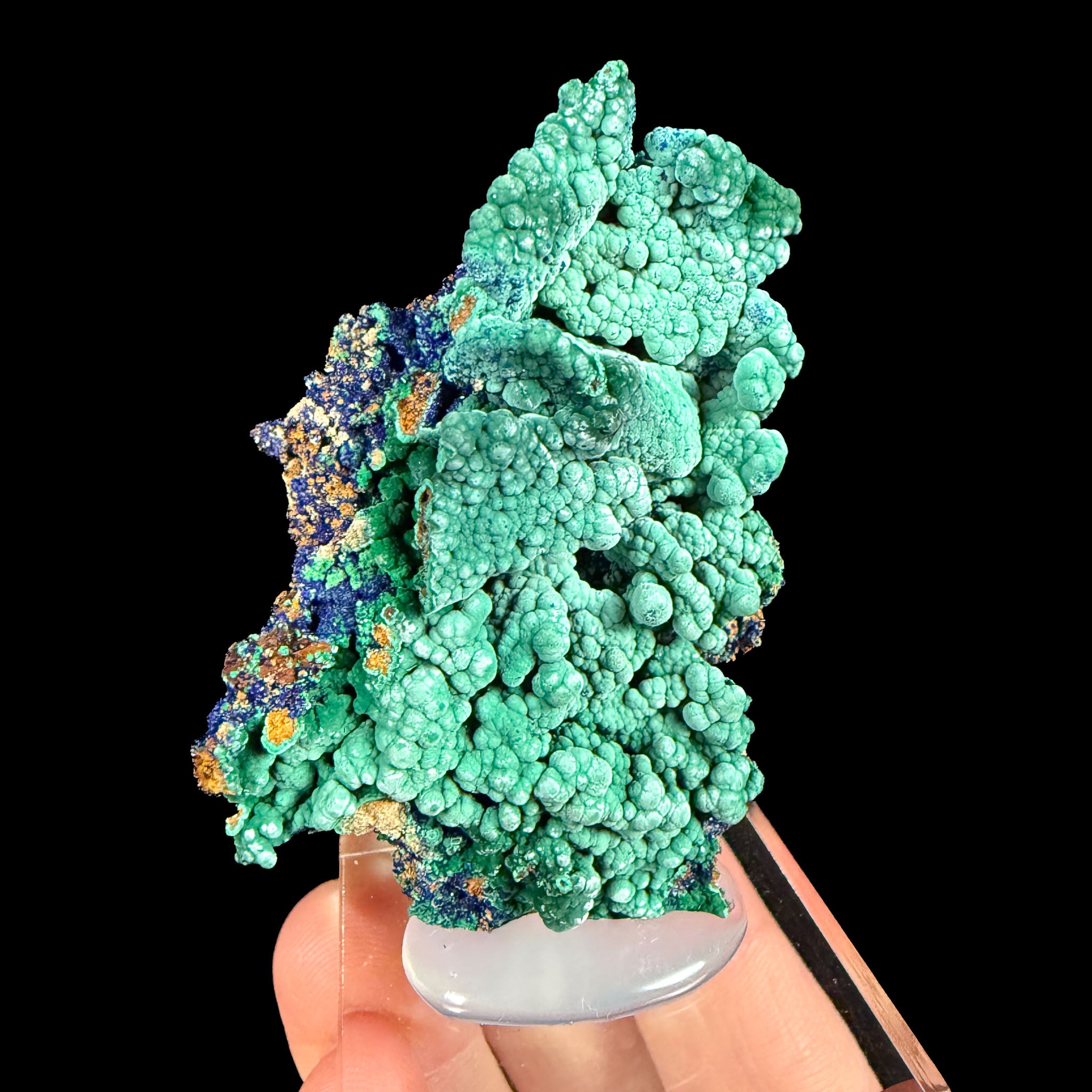 Malachite after Azurite Pseudomorph specimen from Utah