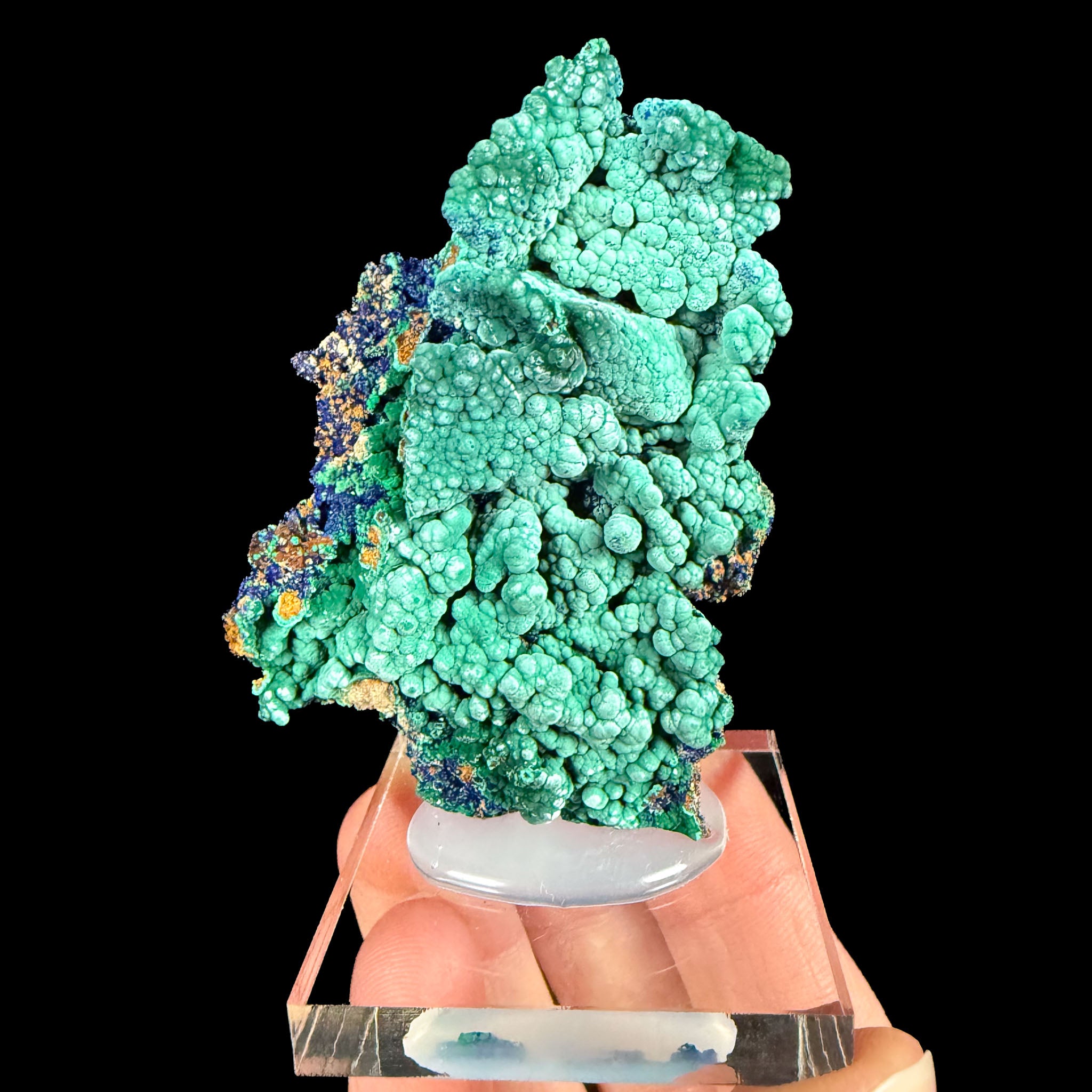 Azurite with Malachite specimen from Libson Valley, Utah USA