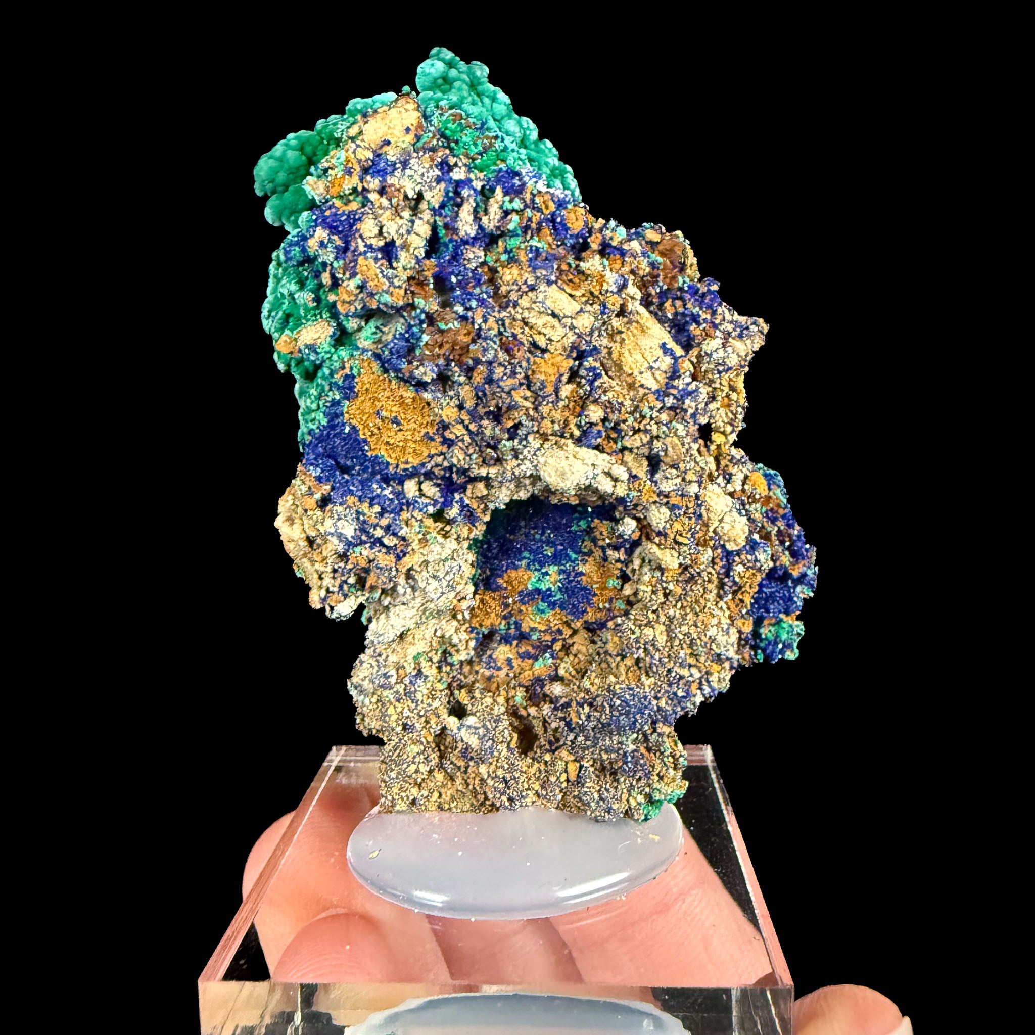 Back side of specimen displaying blue Azurite crystals