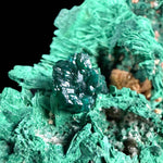 Teal green Dioptase crystal cluster on Malachite