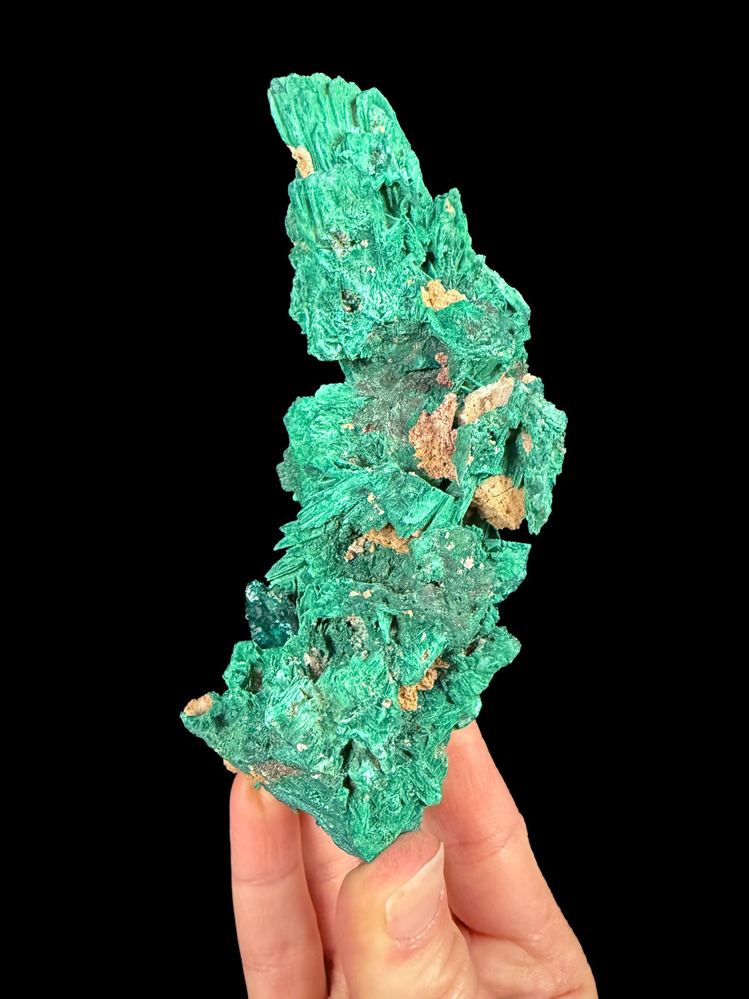 Back side of specimen