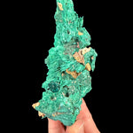 Dioptase crystal cluster on Malachite / Azurite Pseudomorph
