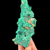 Dioptase crystal cluster on Malachite / Azurite Pseudomorph