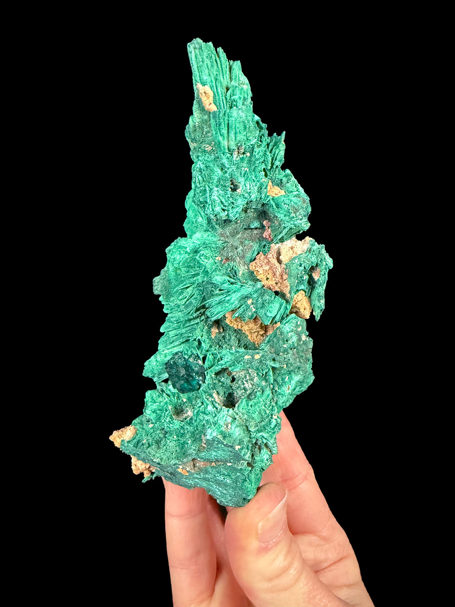 Dioptase crystal cluster on Malachite / Azurite Pseudomorph