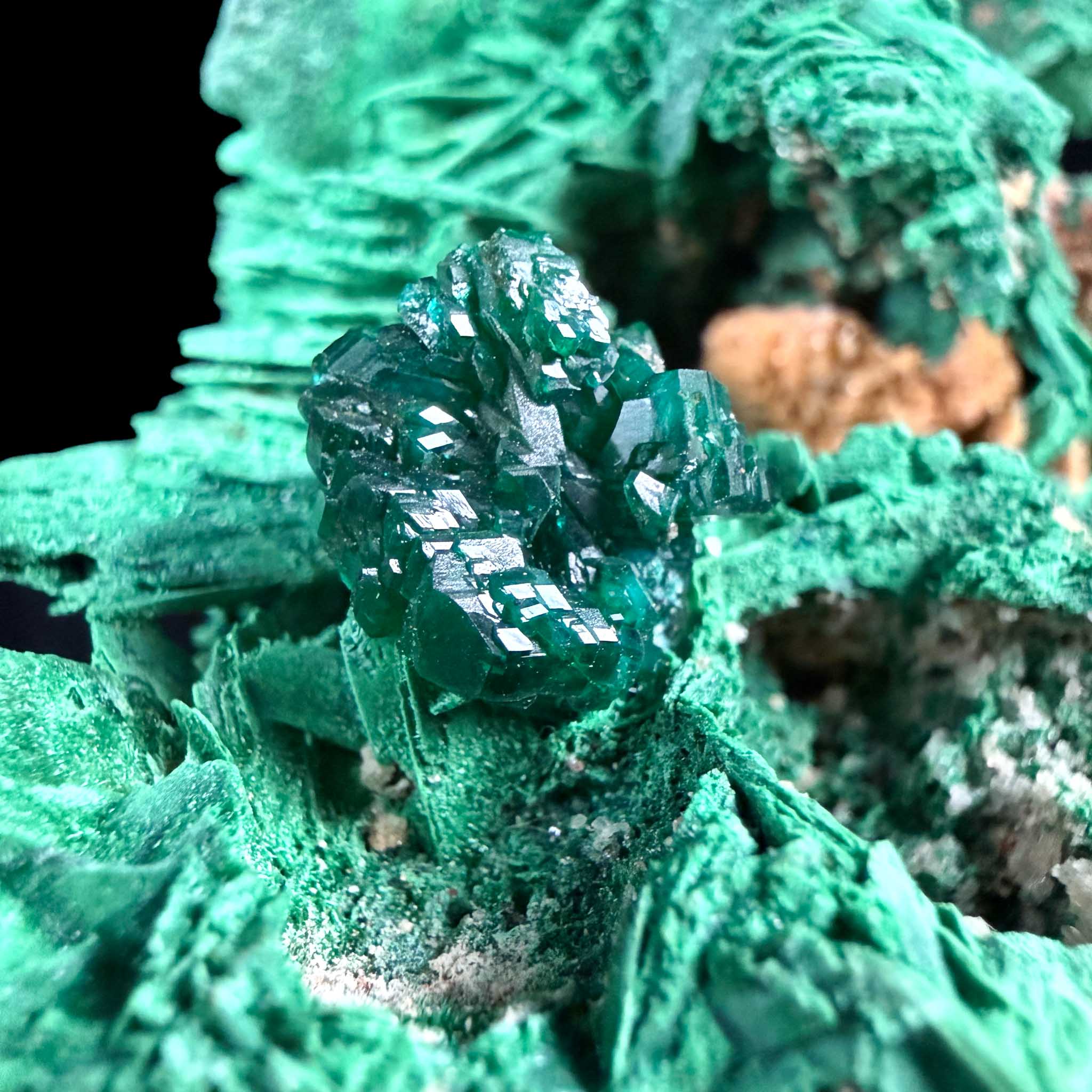 Close up of Dioptase crystals on Malachite