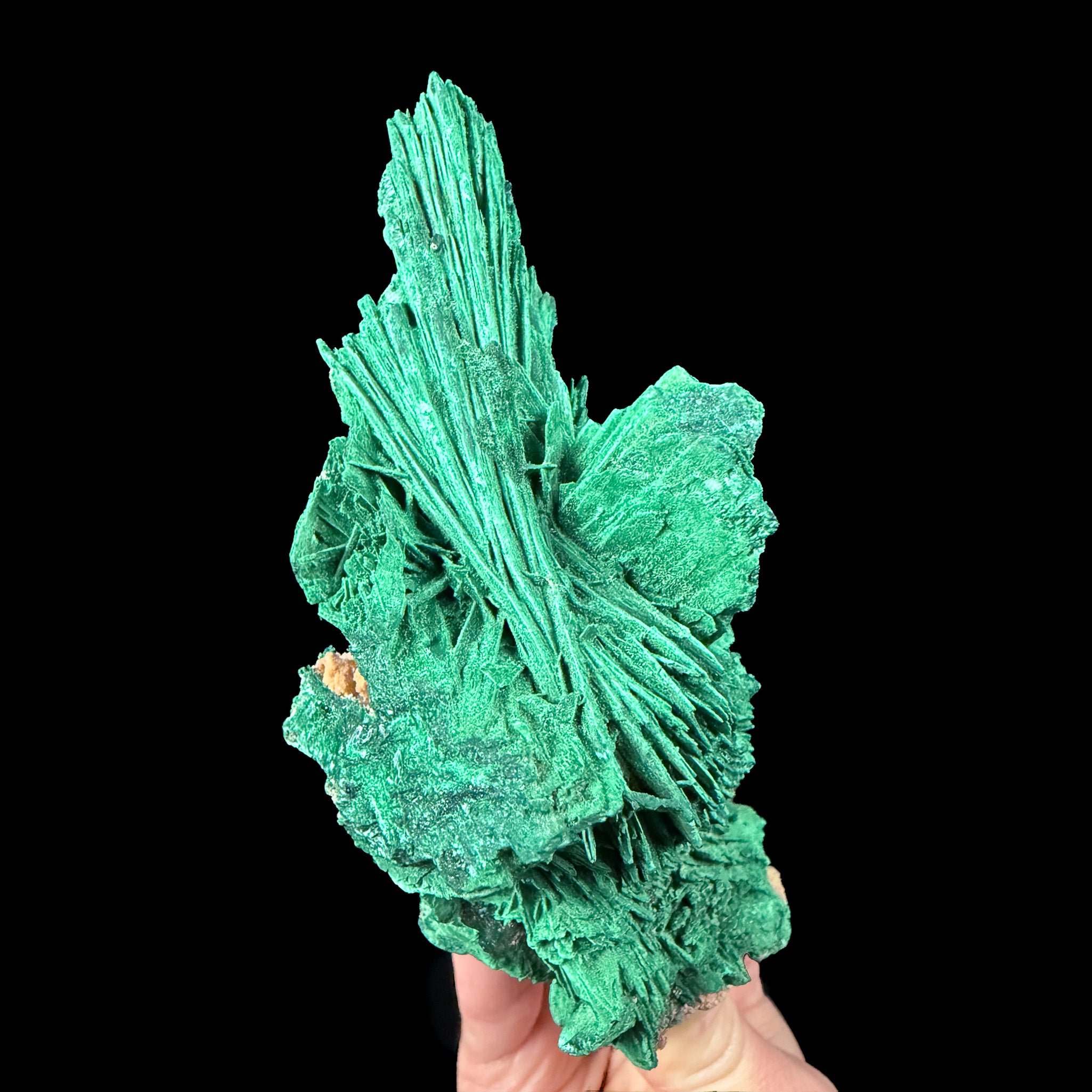 Green Malachite after Azurite Pseudomorph crystals 