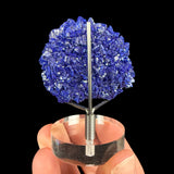 Reverse side of display stand holding Azurite crystal from Utah