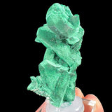 Malachite Azurite Pseudomorph from Milpillas Mine, Mexico