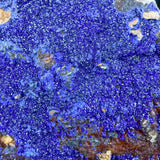 Close up of blue Azurite crystals on mineral specimen from Morocco