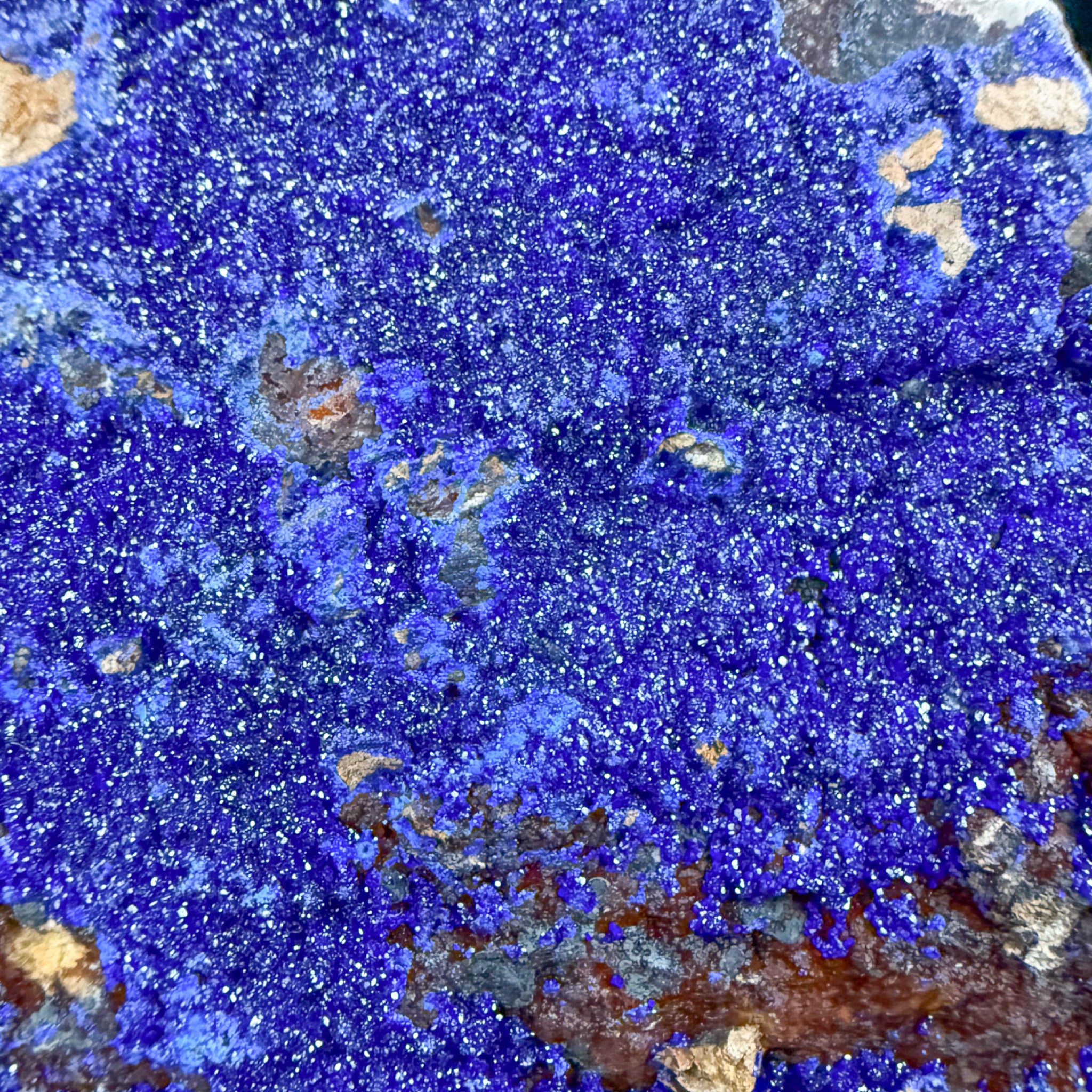 Close up of blue Azurite crystals on mineral specimen from Morocco