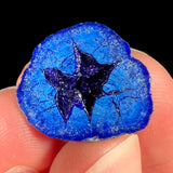 Azurite Nodule "Blueberry"