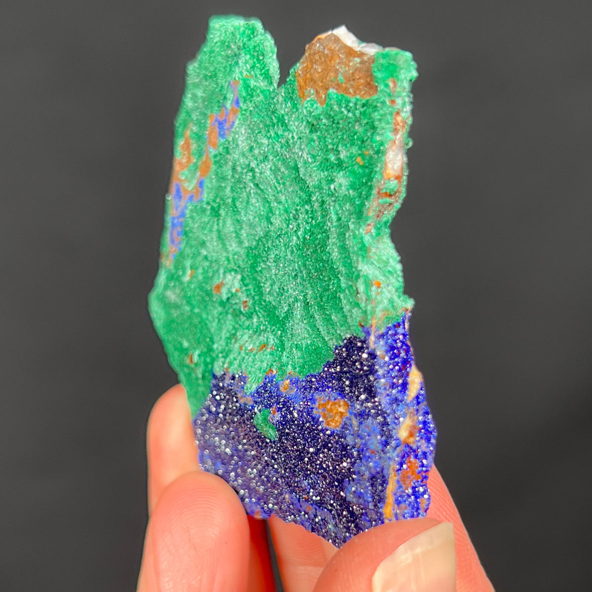 Azurite with Malachite from Morocco