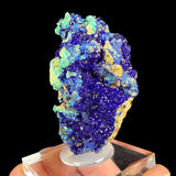 Blue Azurite crystals with green Malachite from the Congo