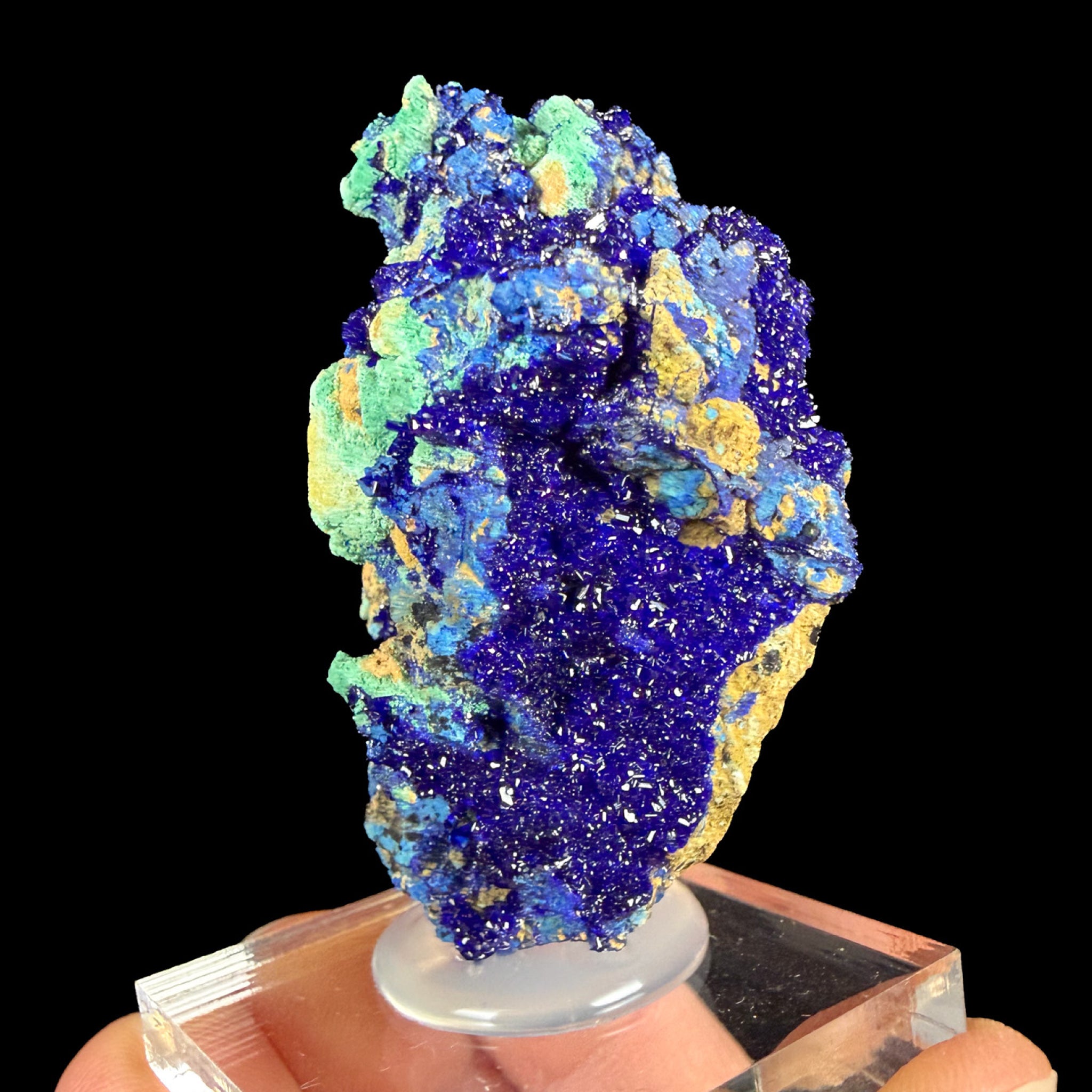 Blue Azurite crystals with green Malachite from the Congo