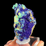 Blue Azurite crystals with green Malachite mineral specimen
