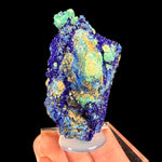 Green Malachite with Blue Azurite from Congo