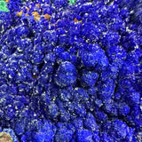 Close up of blue Azurite crystals