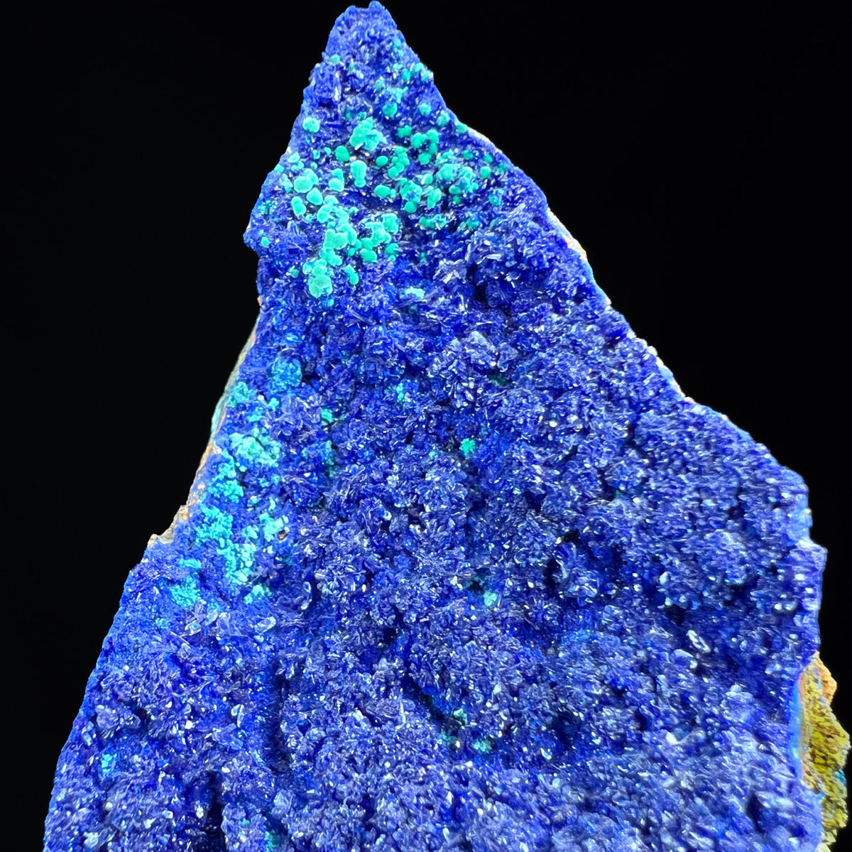 Close up of Azurite Rosettes with Botryoidal Malachite